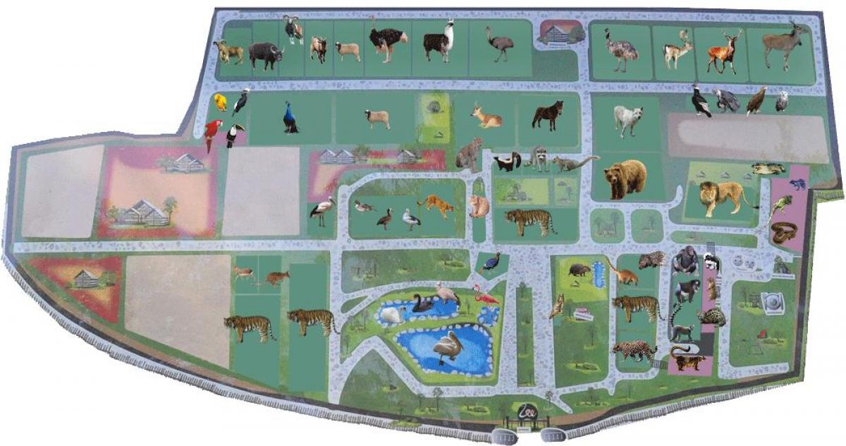 Mapa parku zoologicznego w Bukareszcie